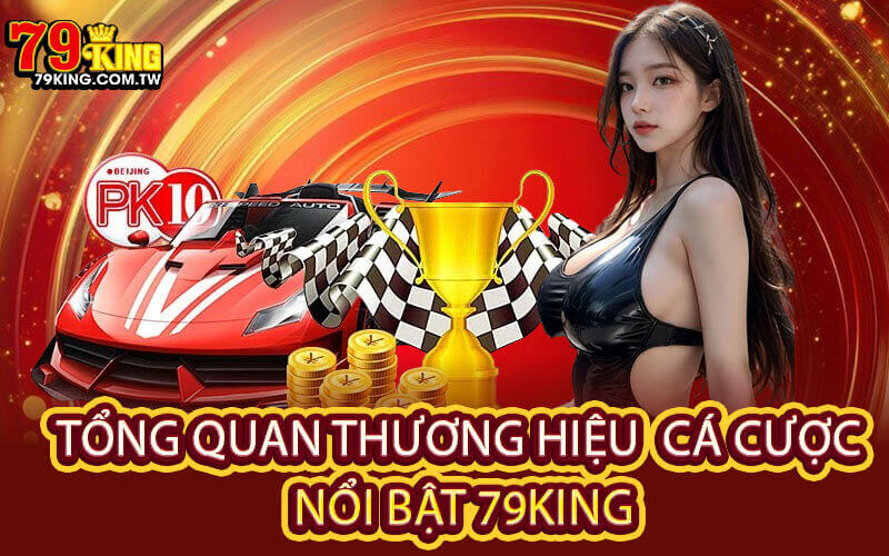 Giới Thiệu 79King